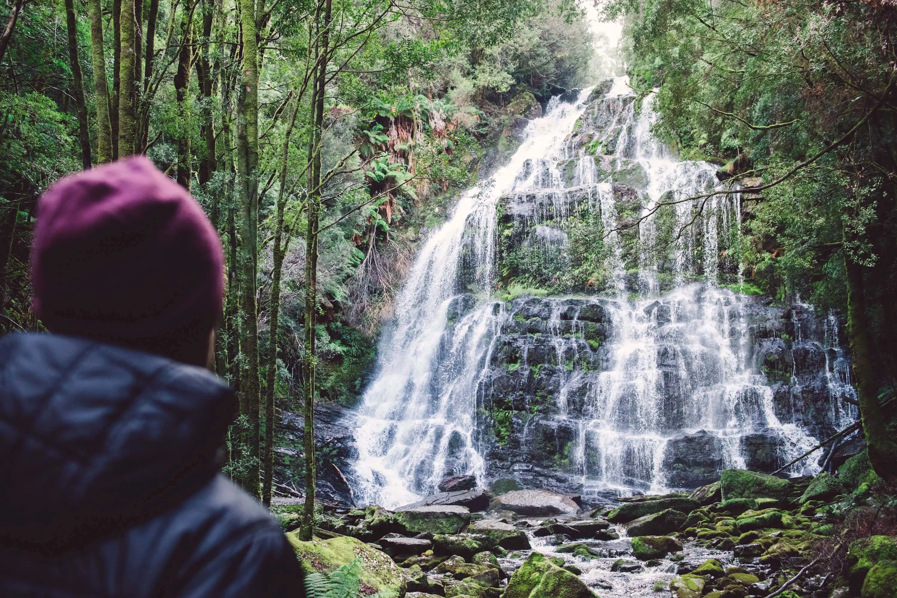 A person wearing a beanie and puffer jacket stands in the forest and looks at a large waterfall cascading over mossy, green rocks.
