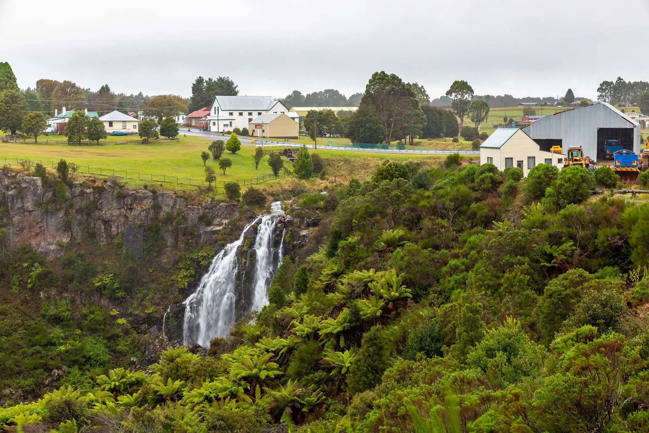 Wide angle view of Waratah Falls with buildings from the historic town of Waratah sit above in the background while ferns fill the foreground.