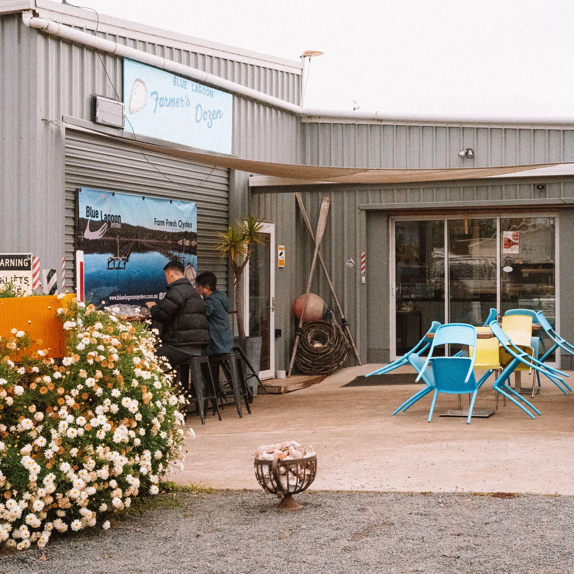 A weathered metallic shed building sits behind a flower bush in bloom, on a graveled outdoor area. Boat oars, buoys and lobster pots decorate the area.