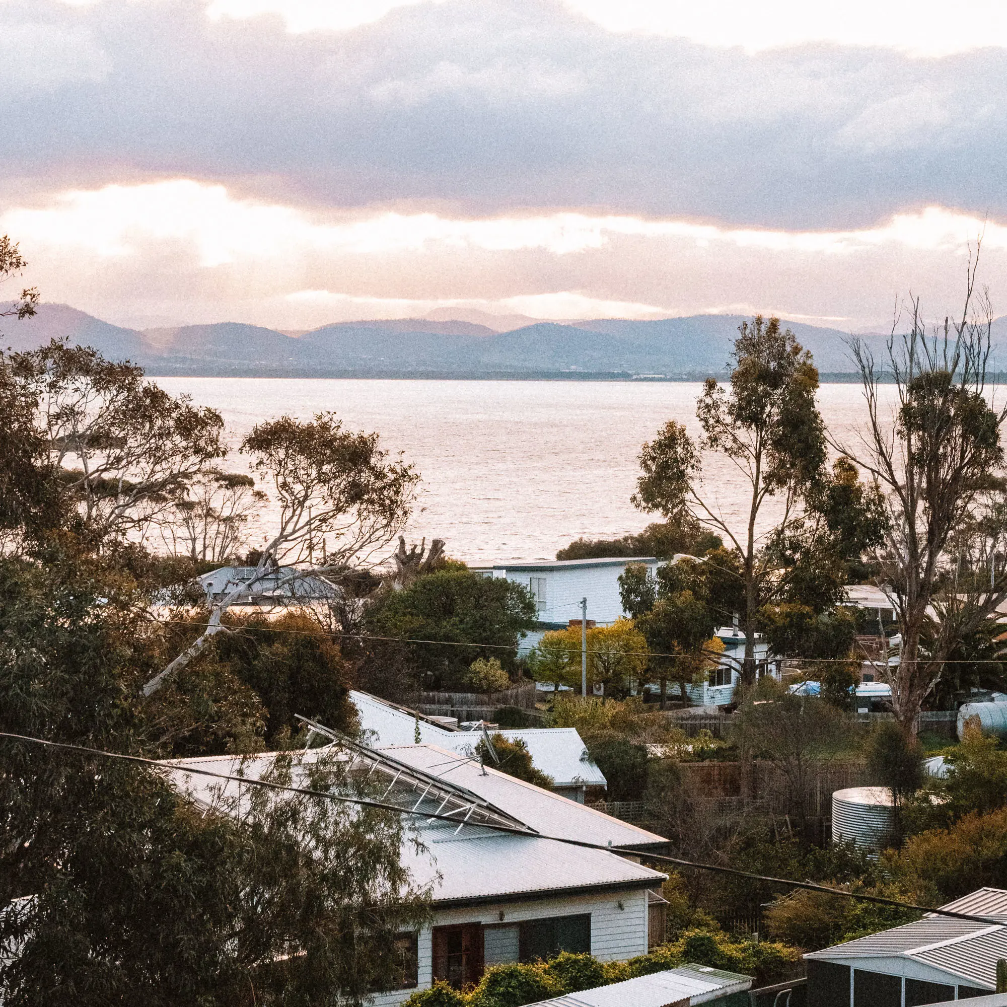 A view over beachside shacks, out to the calm water and distant hills. Native vegetation and trees surround the weathered buildings.