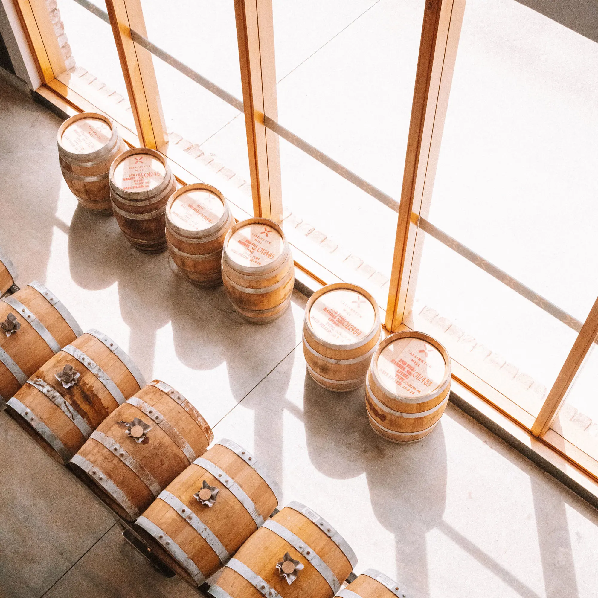 Looking down onto whisky barrels, on their sides on shelves and standing on the concrete floor, flooded with light from full-width windows.
