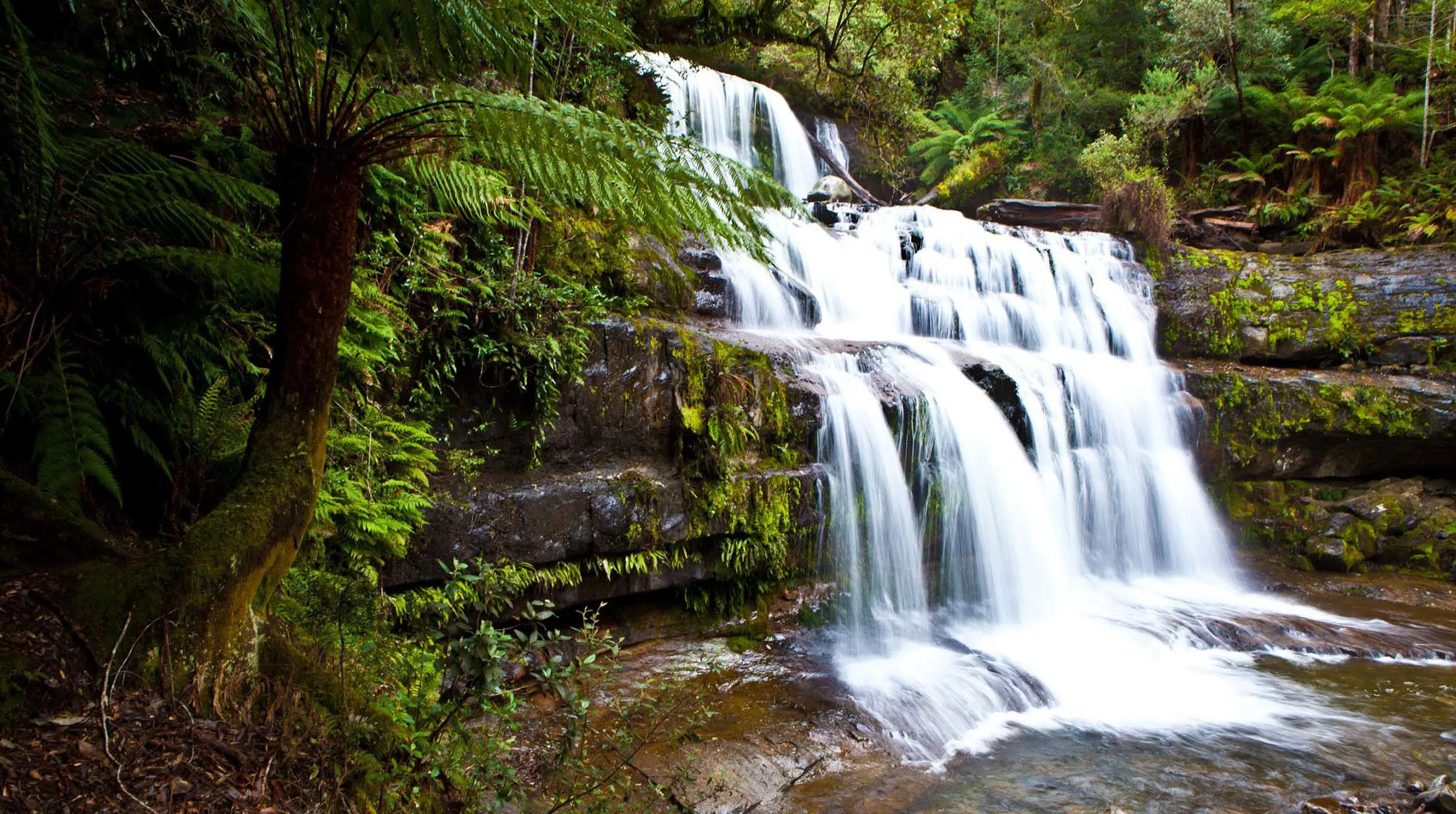 Fast-flowing water cascades over a series of stepped rocks in a lush, rainforest setting.