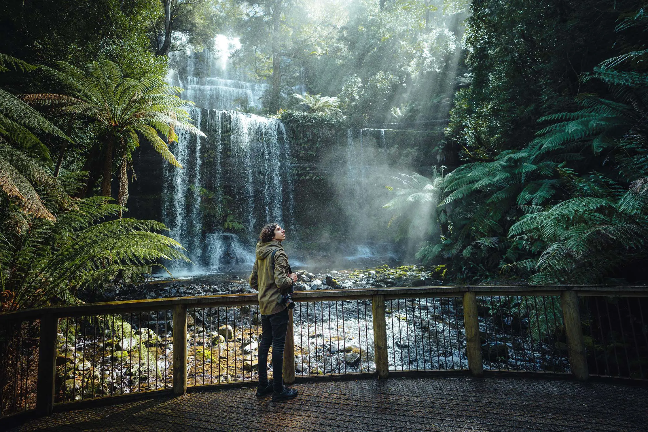 A man stands on the wooden boardwalk in front of cascading Russell Falls, looking up at the fern forests and tall trees.