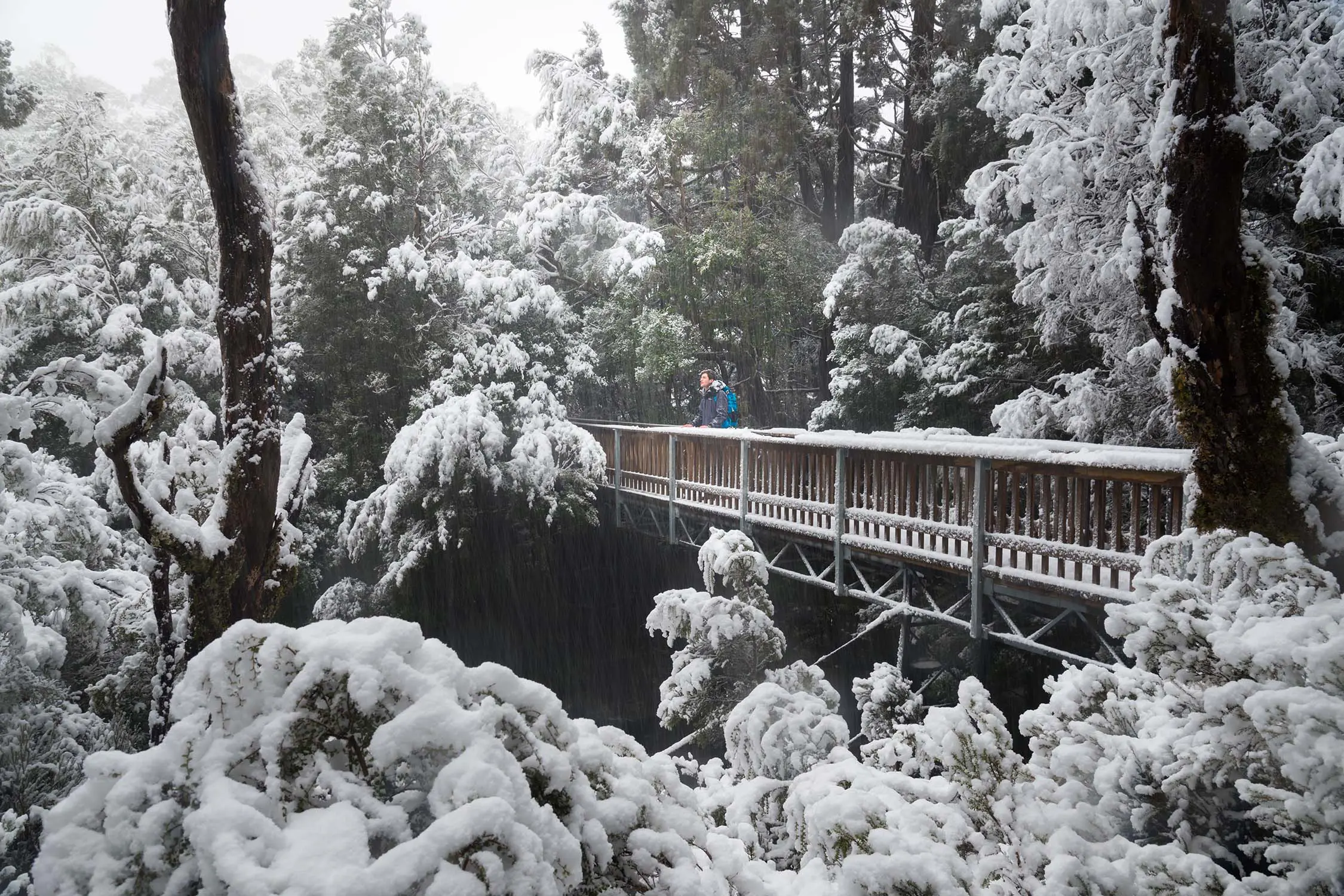 A picturesque snow-covered forest with a wooden bridge stretching across a deep gorge. The trees are blanketed in heavy snow, creating a magical and serene winter setting.