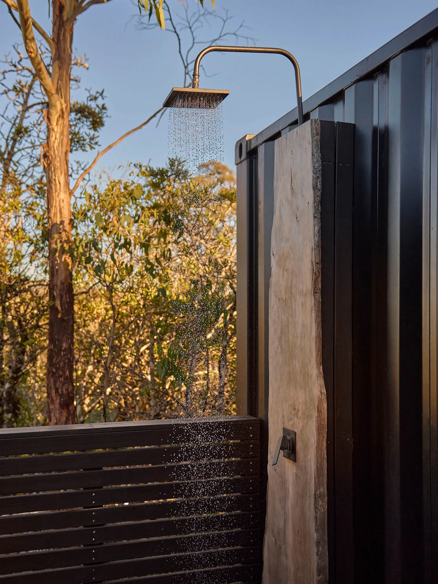 An outdoor shower structure with weathered wooden panels and a metal showerhead stands among native trees in a natural setting.