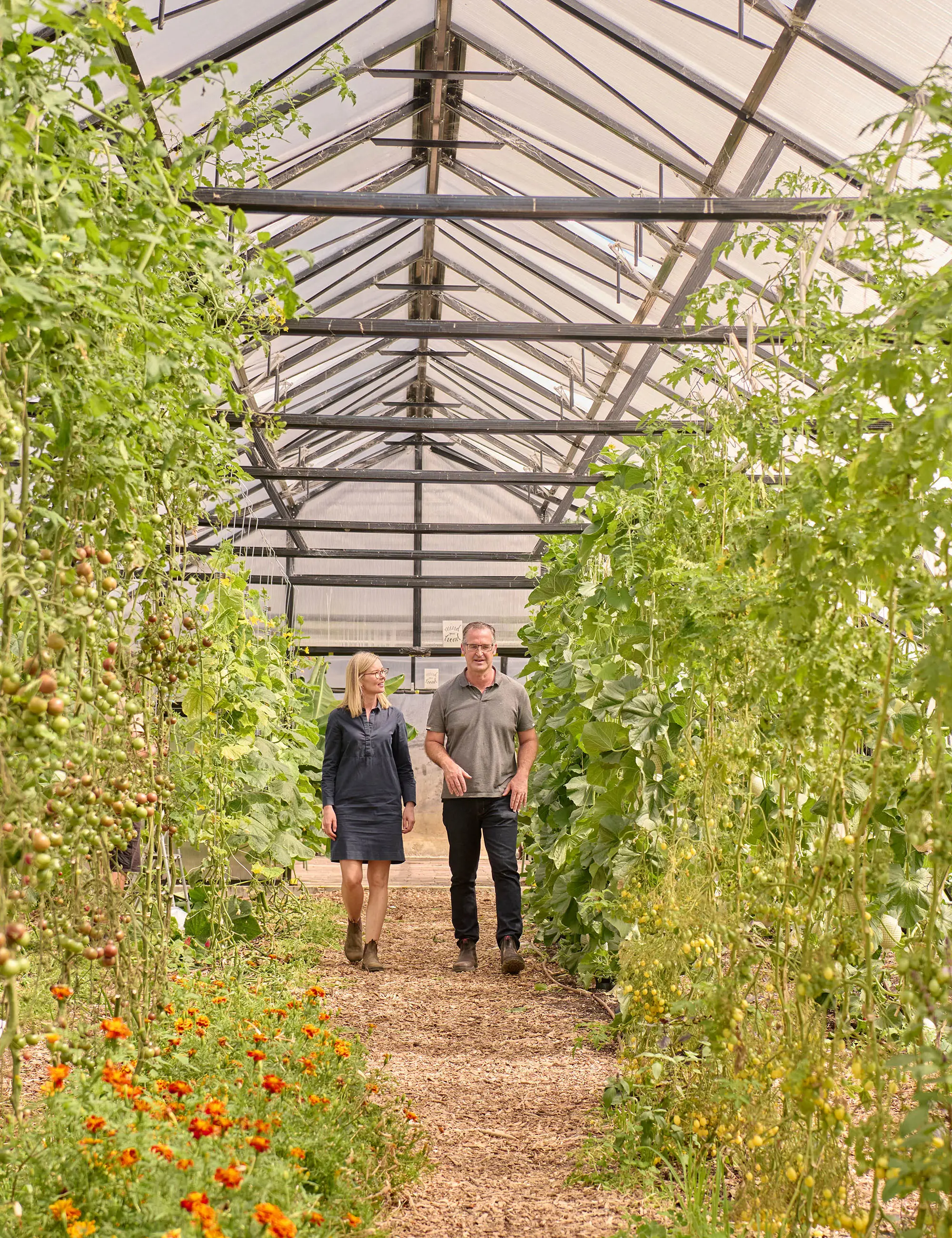Two people walk down a path through a large greenhouse, the rows of climbing vines either side thick with cherry tomatoes and other edibles.