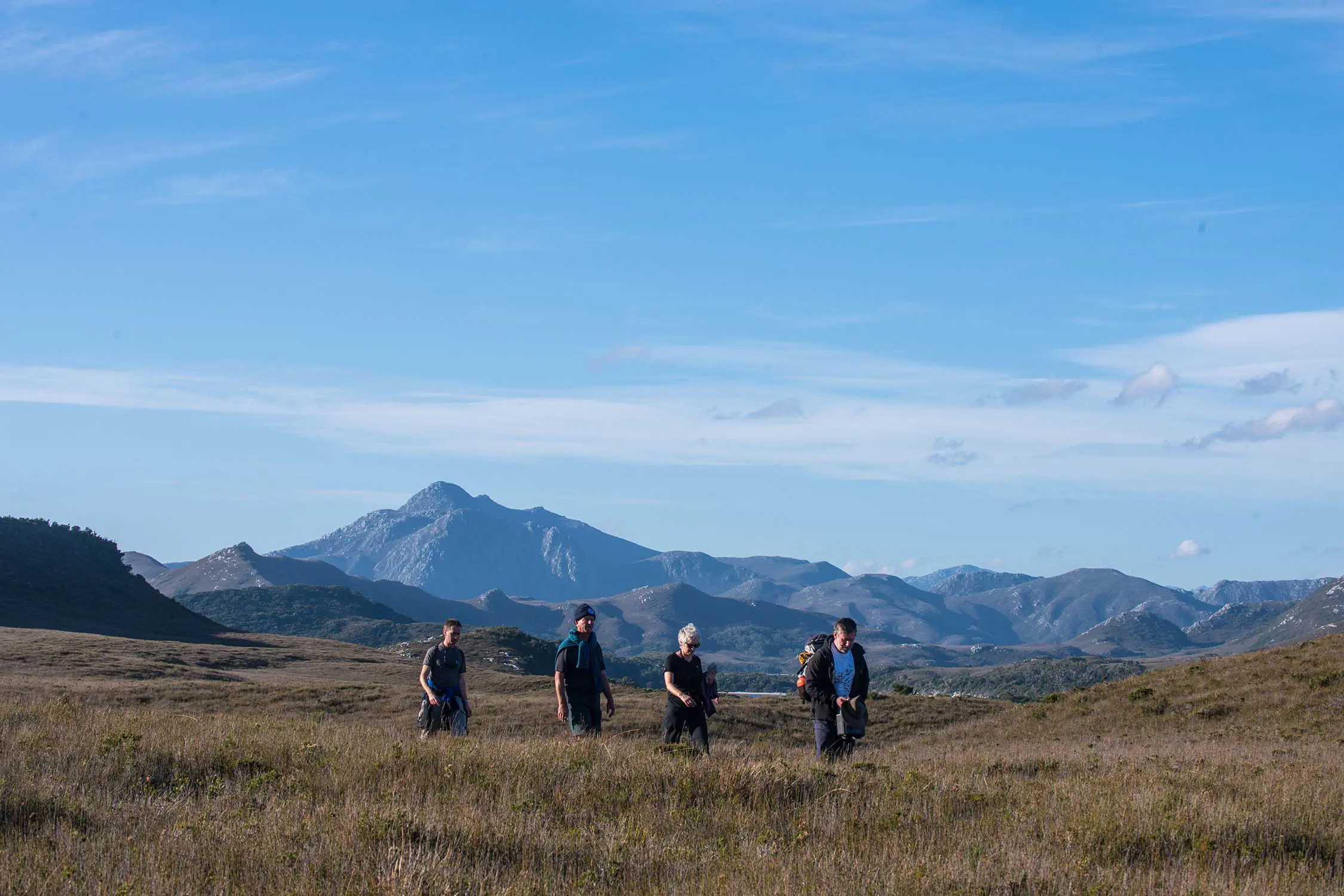 People in outdoor hiking gear and backpacks walk through tall grasses across an open area, as mountain ranges rise up behind them into the blue sky.