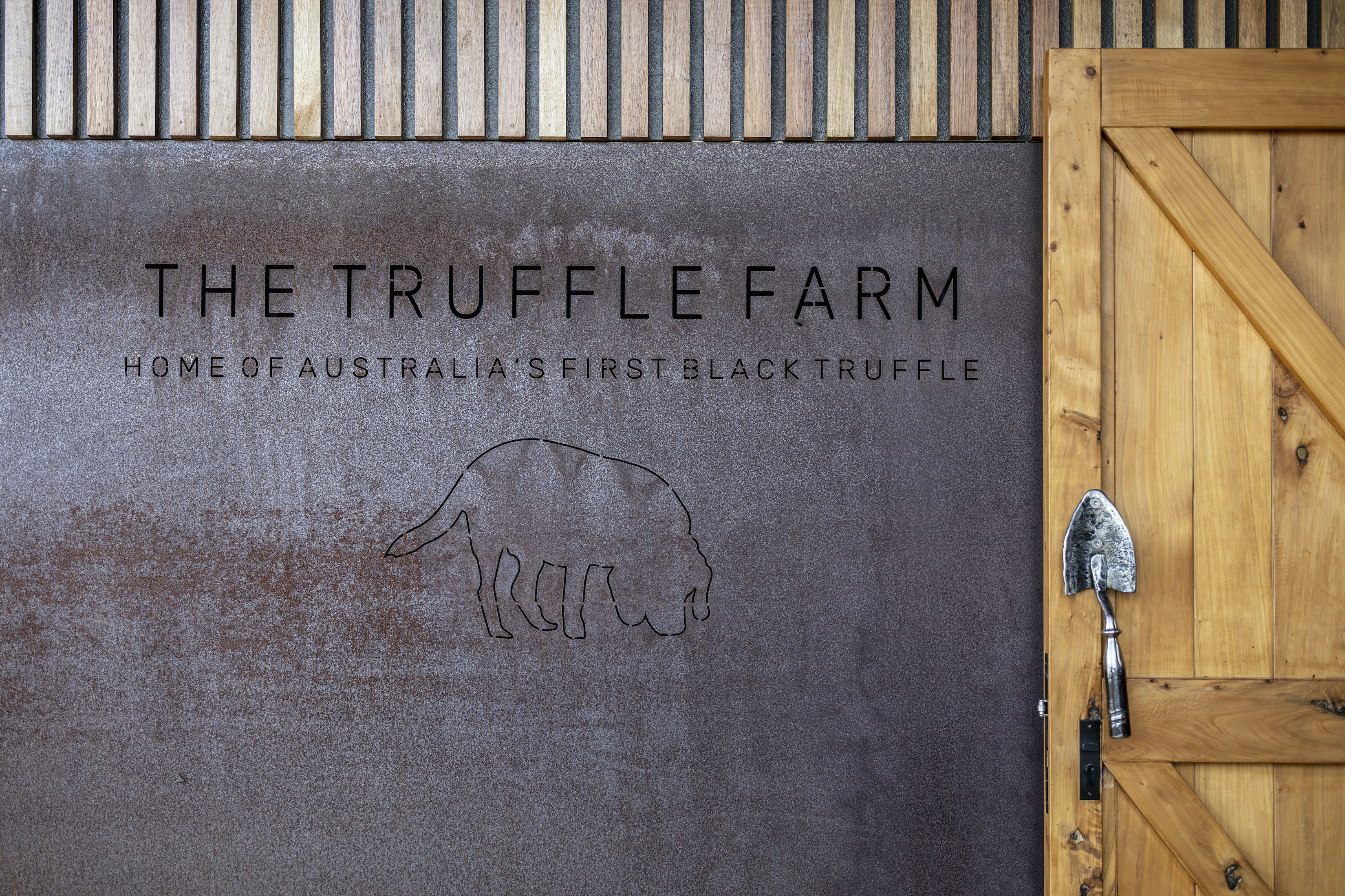 Truffle hunting