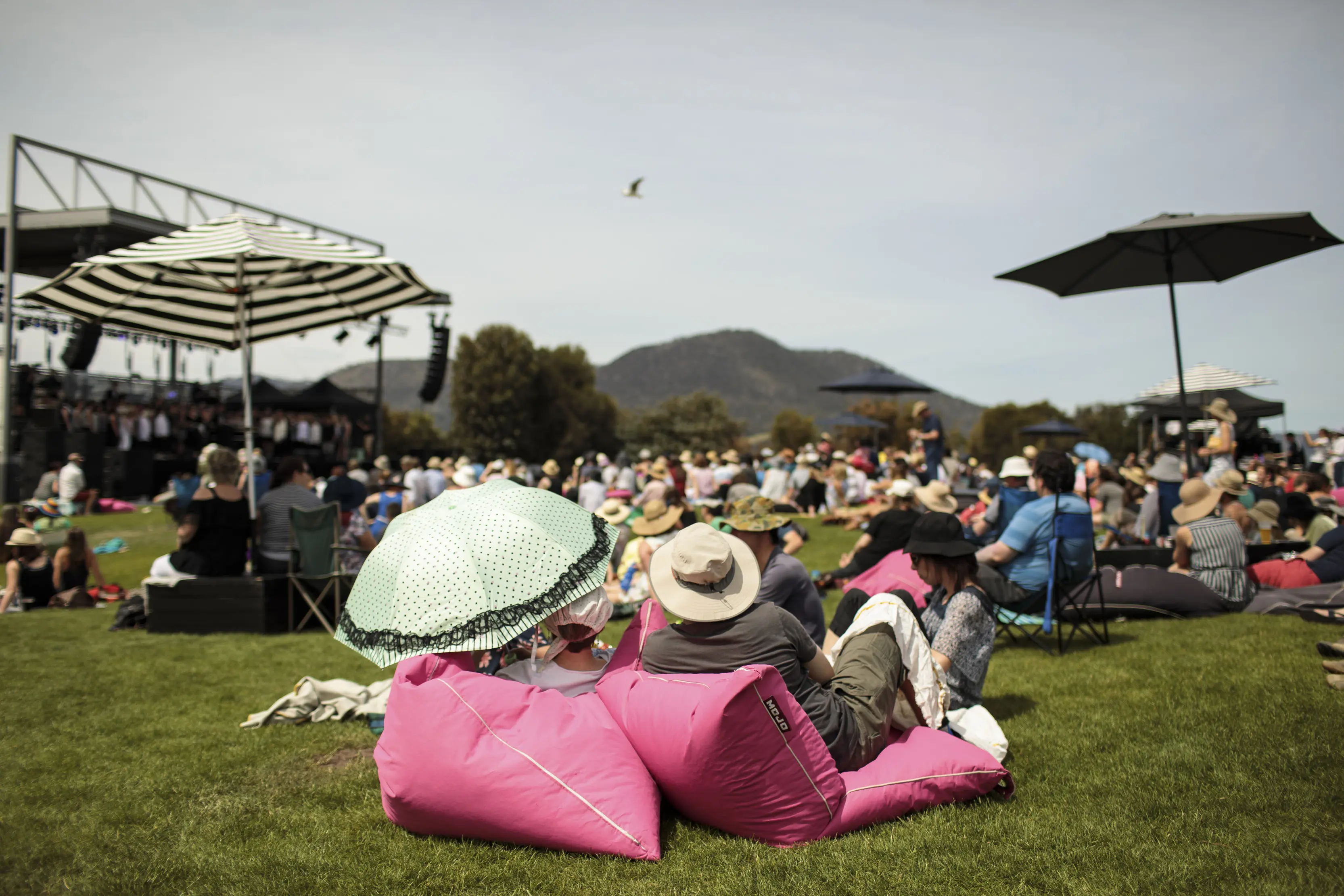 Crowds relaxing on pink bean bags at the Concert on the Lawn, Mona.
