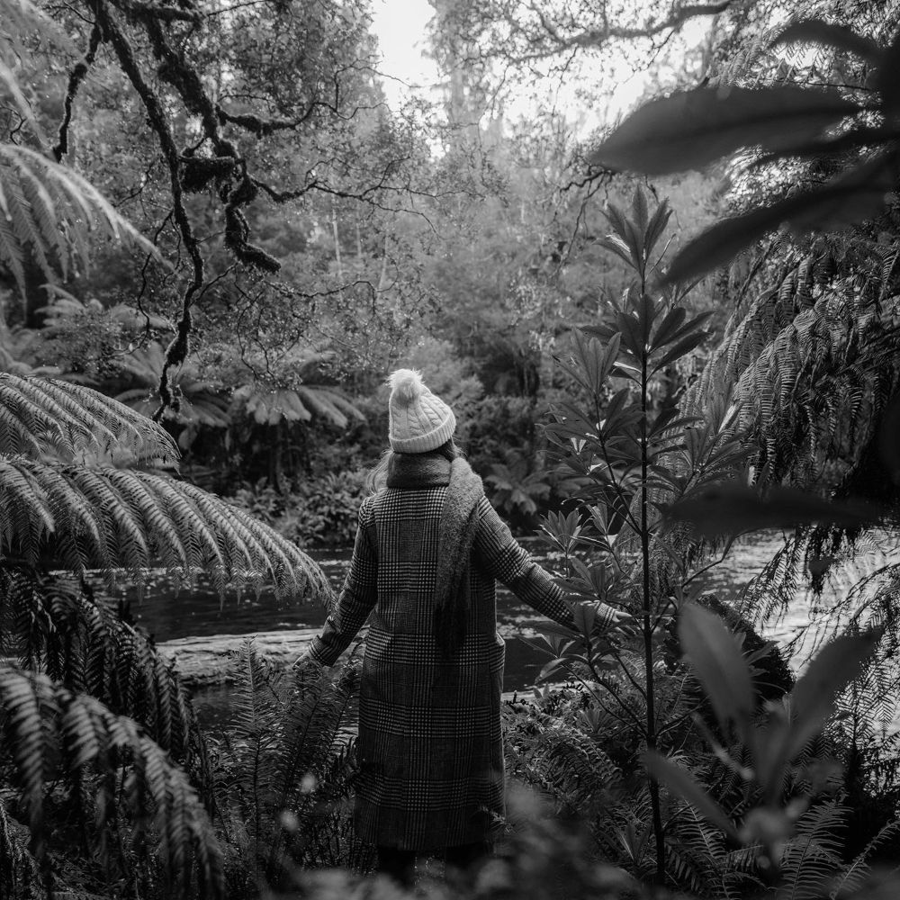 The art of forest bathing