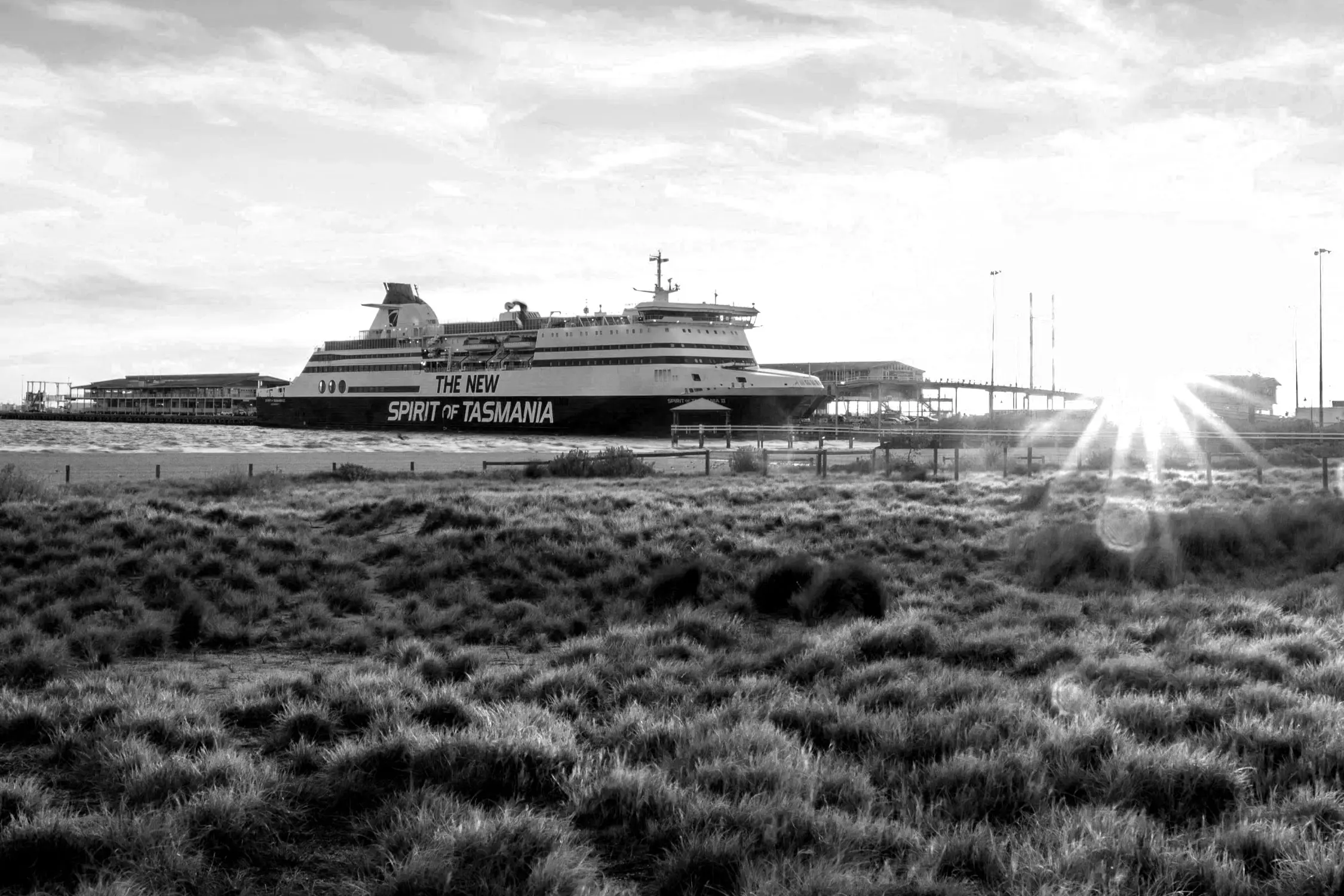 A large passenger ferry, named "The New Spirit of Tasmania," docked by the seaside. The backdrop features a grassy landscape with the sun setting on the horizon, casting a warm glow over the serene coastal setting.