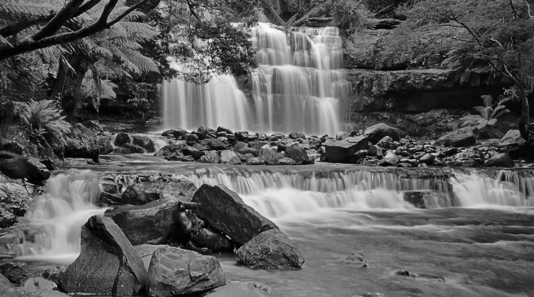 A waterfalls flows over a series of tiers, before flowing across rocks in the river and down a second, short drop. Temperate rainforest plants line either side.