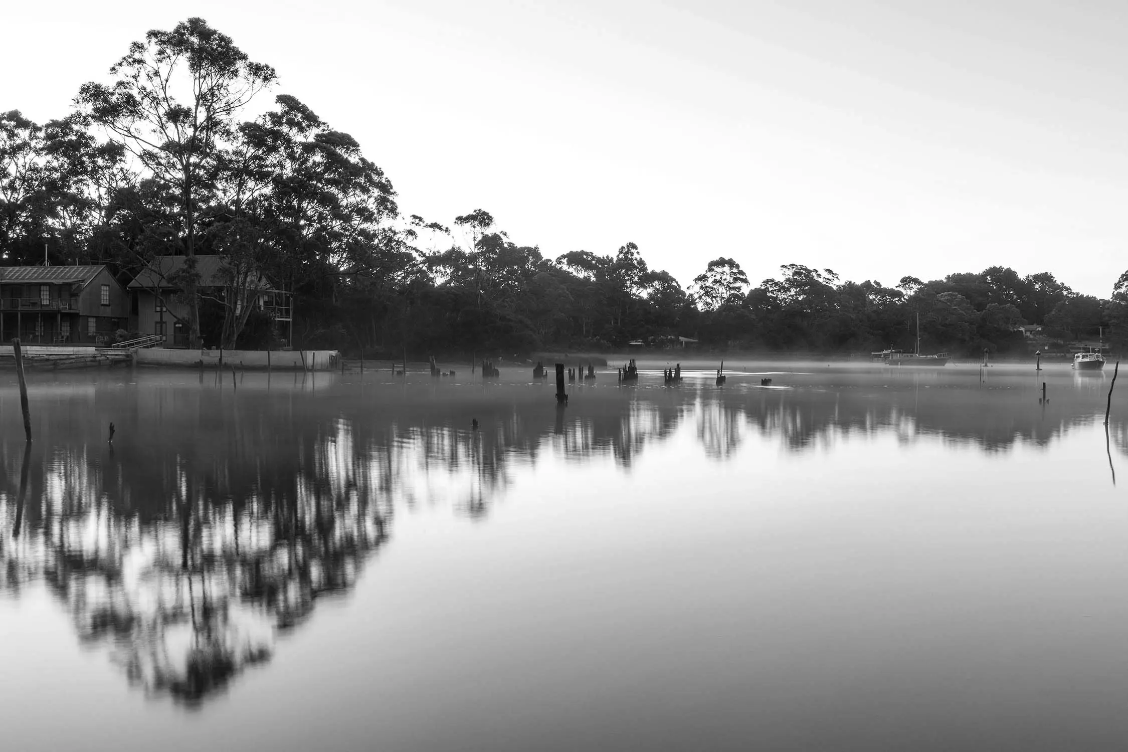 A black and white photograph shows a misty morning on calm water with perfect reflections of shoreline buildings and native trees. Old wooden pylons protrude from the still surface under an overcast sky.