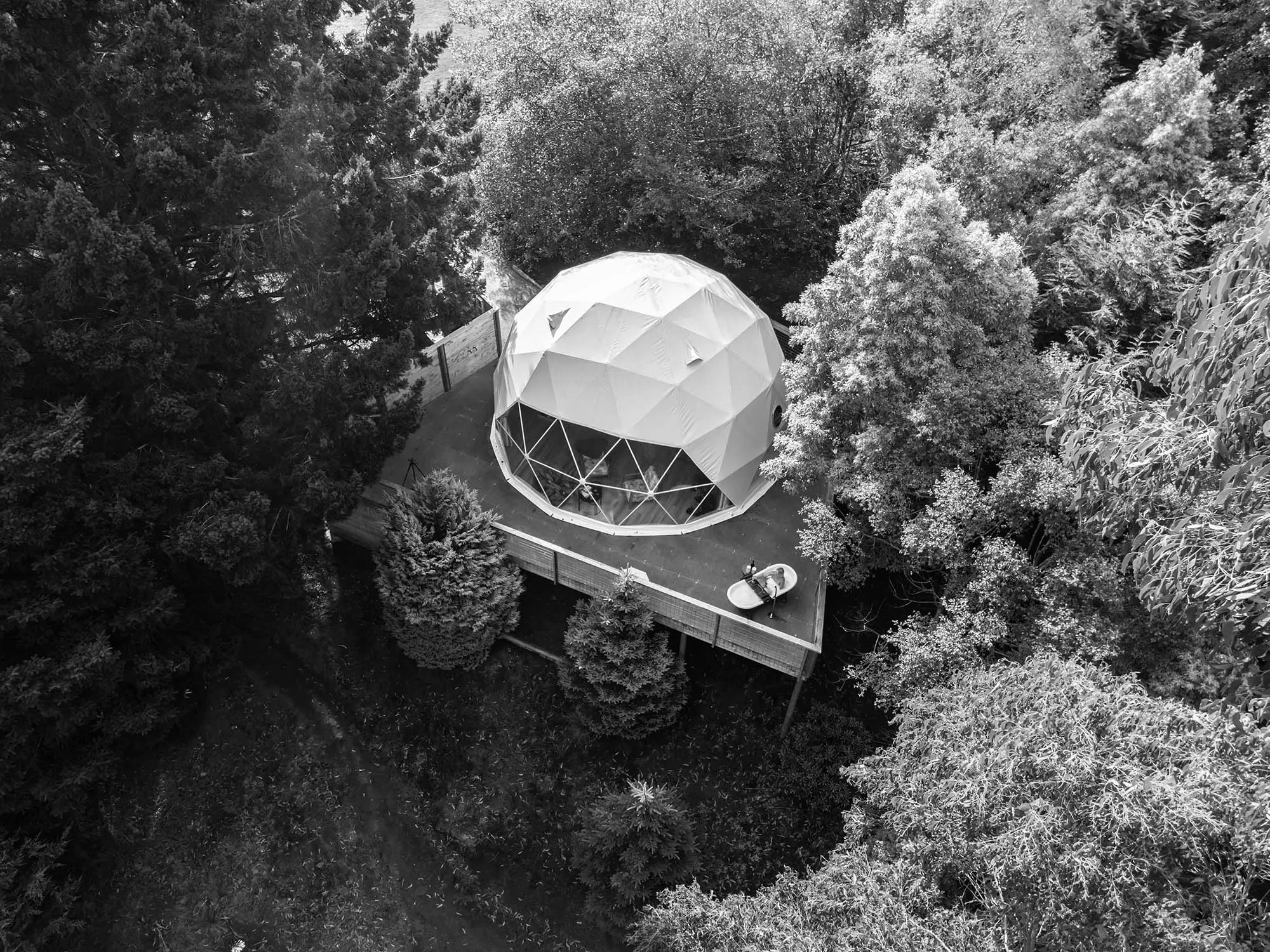 An aerial black and white view shows a white geodesic dome with transparent panels on a deck, surrounded by dense native forest canopy.
