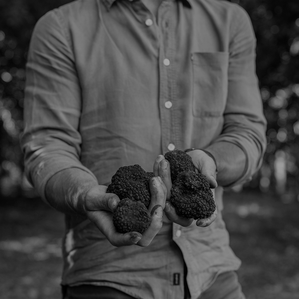 Truffles, cultural tours and animals