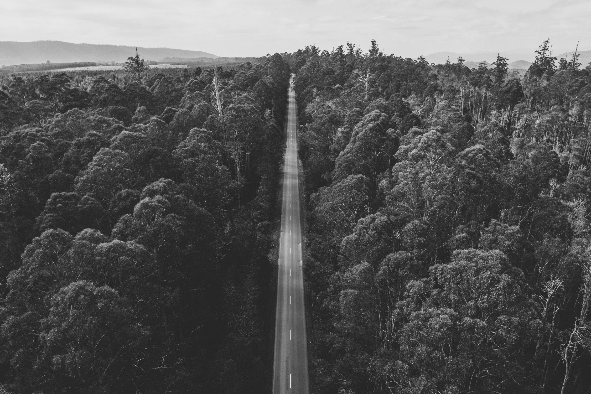 An aerial view of a long straight road cutting through tall dense forest stretching towards the horizon.