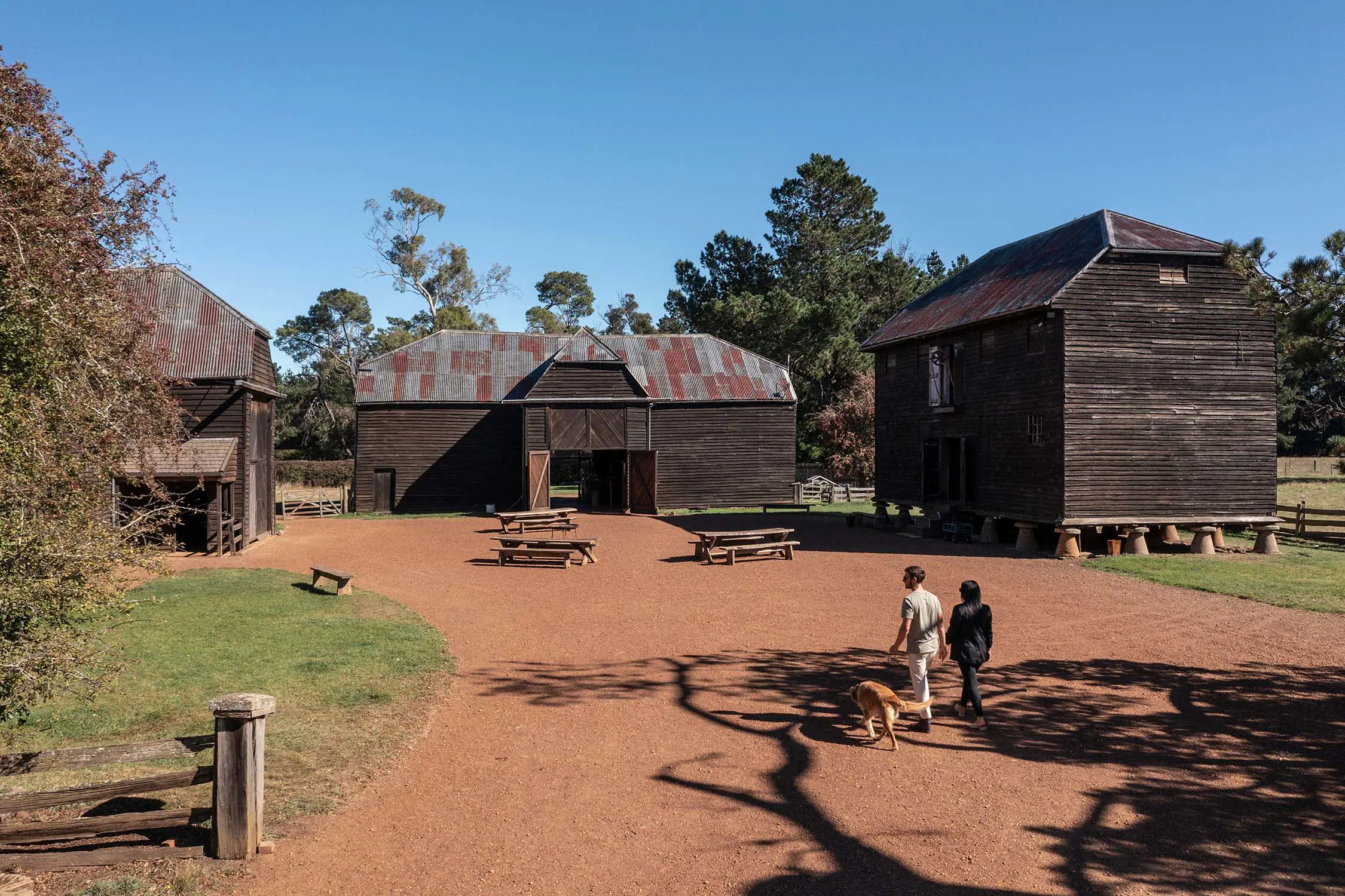 Two people and their dog walk on a red gravel path towards a collection of historic convict buildings, constructed of dark, aged timber and corrugated iron.
