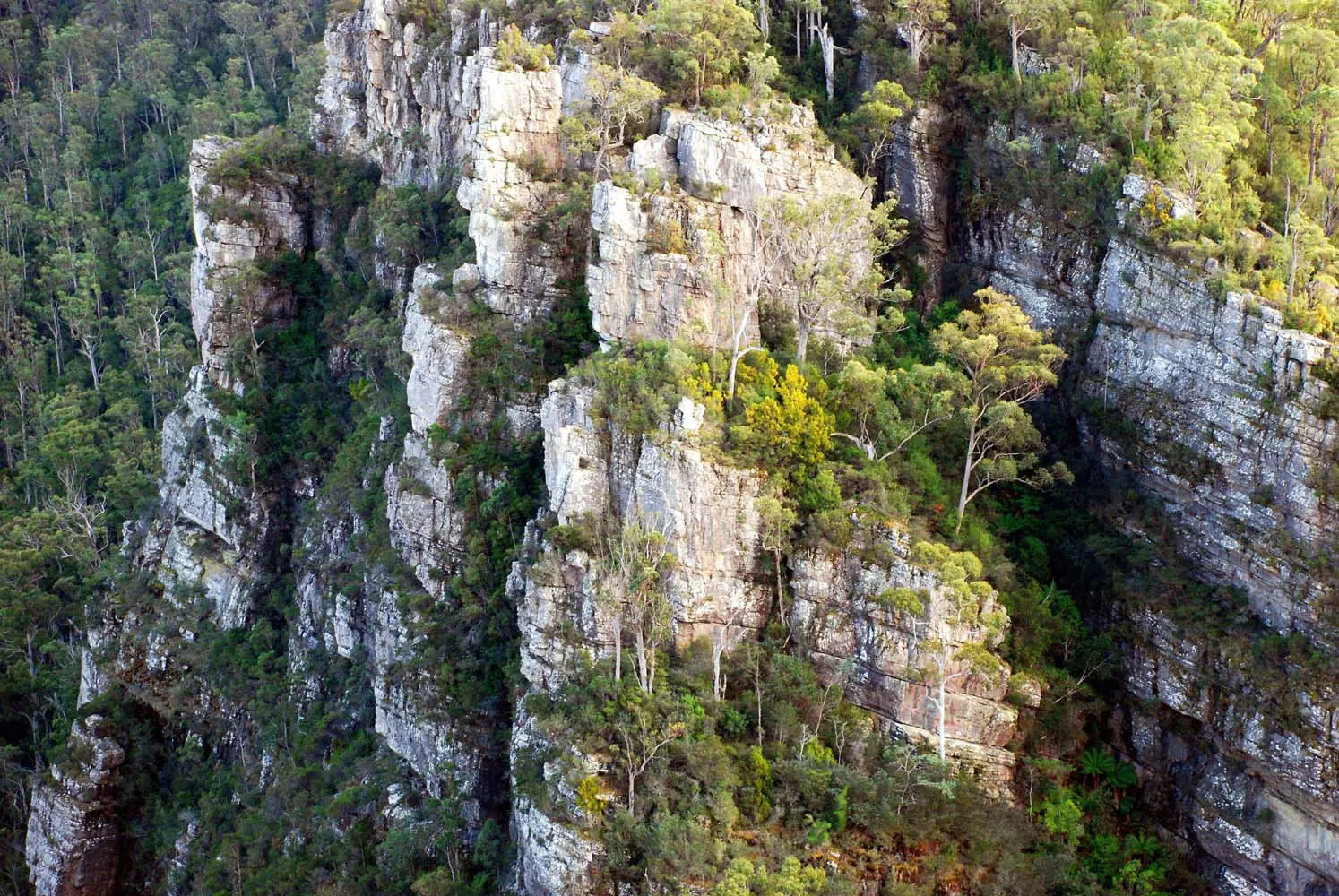 An aerial image of sharply rising and jagged light-coloured cliffs, with trees and greenery growing from many of the outcrops.