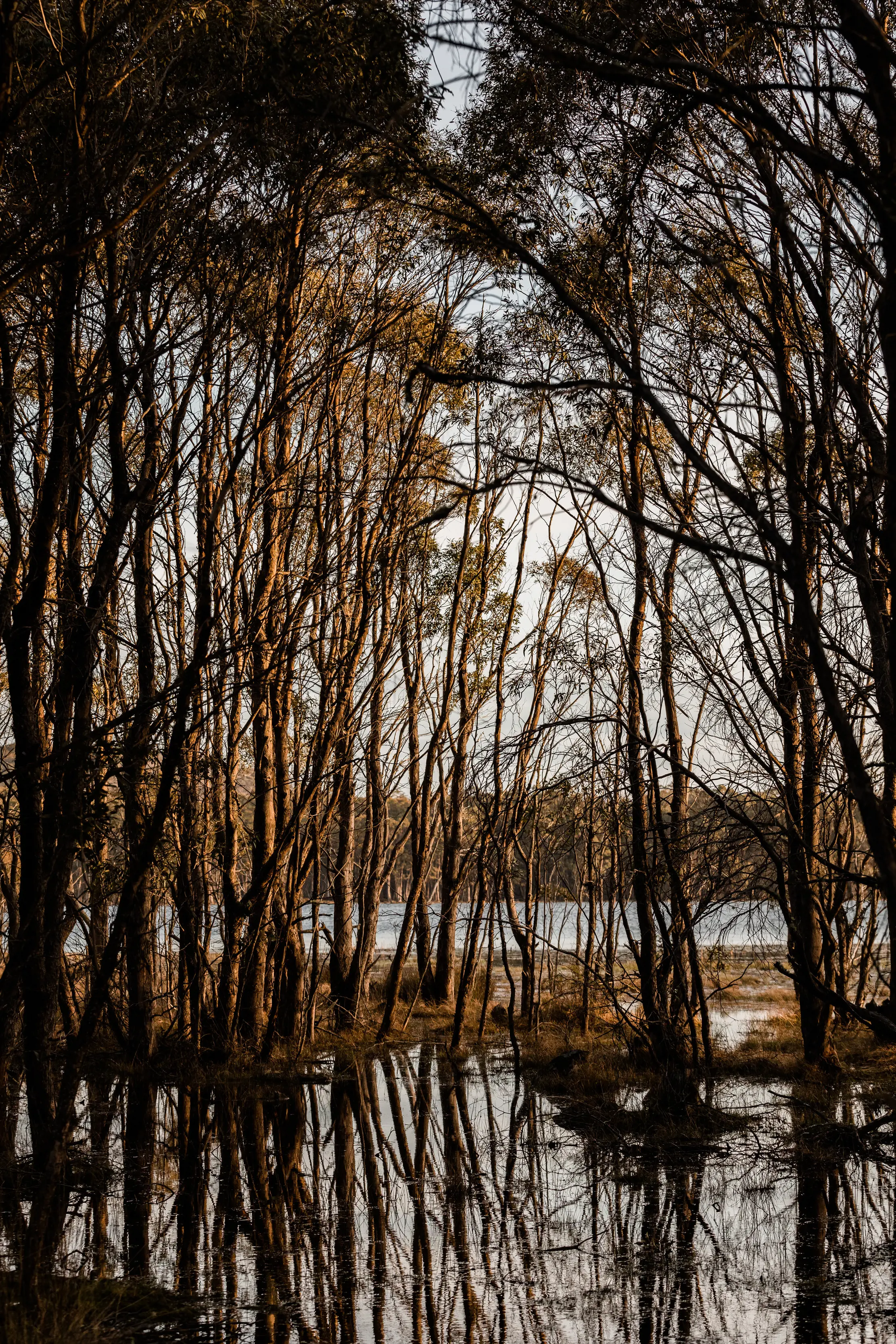 Penstock Lagoon