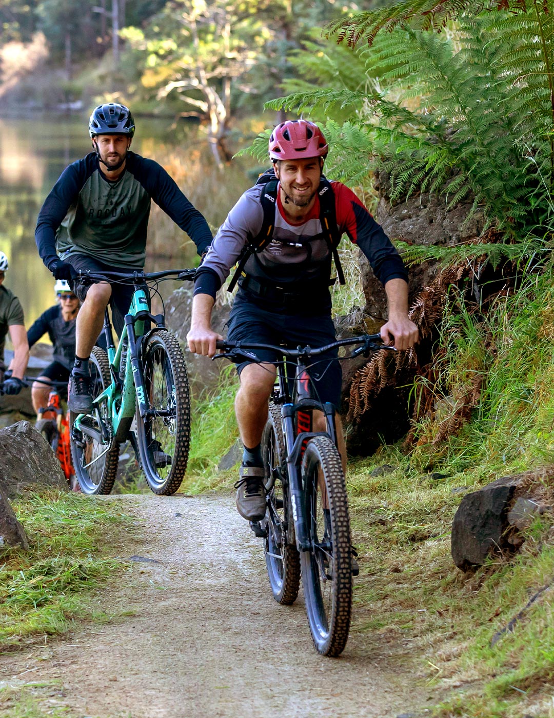 Walking and biking tours